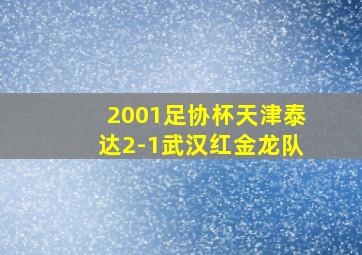 2001足协杯天津泰达2-1武汉红金龙队