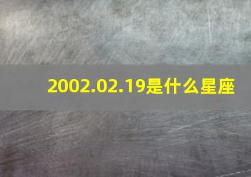 2002.02.19是什么星座