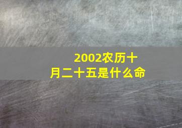 2002农历十月二十五是什么命