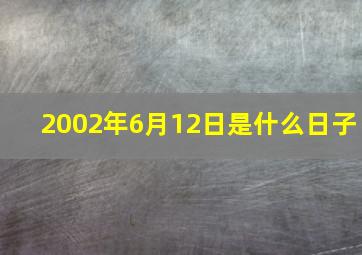 2002年6月12日是什么日子