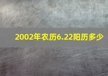 2002年农历6.22阳历多少