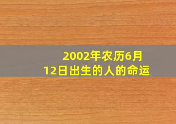 2002年农历6月12日出生的人的命运