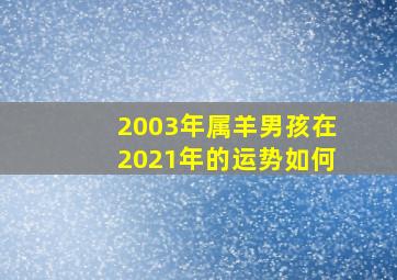 2003年属羊男孩在2021年的运势如何