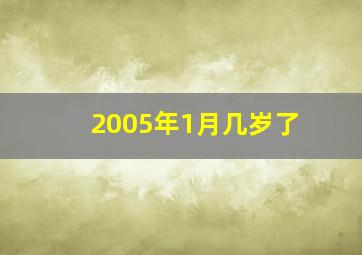 2005年1月几岁了