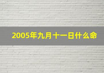 2005年九月十一日什么命