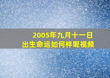 2005年九月十一日出生命运如何样呢视频