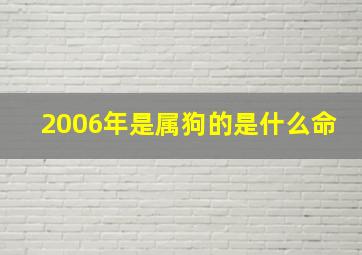 2006年是属狗的是什么命