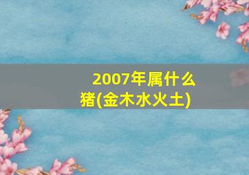 2007年属什么猪(金木水火土)