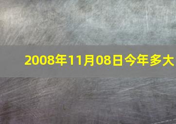 2008年11月08日今年多大