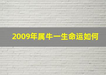 2009年属牛一生命运如何