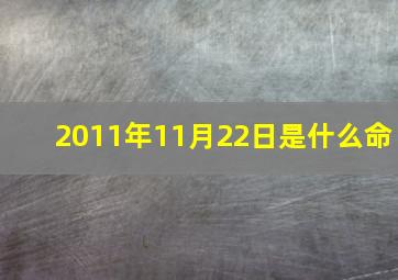 2011年11月22日是什么命