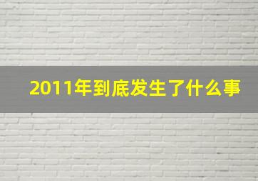 2011年到底发生了什么事