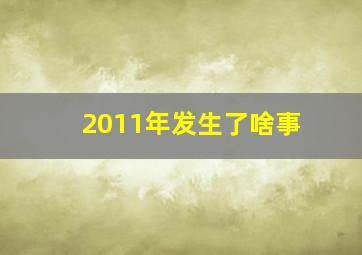 2011年发生了啥事