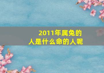 2011年属兔的人是什么命的人呢