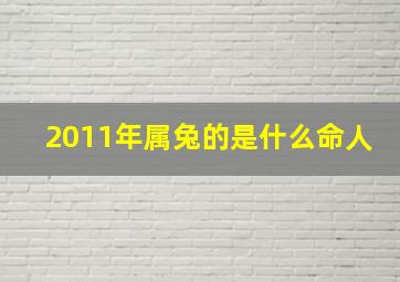 2011年属兔的是什么命人