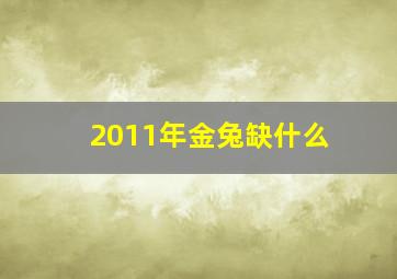 2011年金兔缺什么