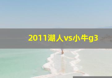 2011湖人vs小牛g3