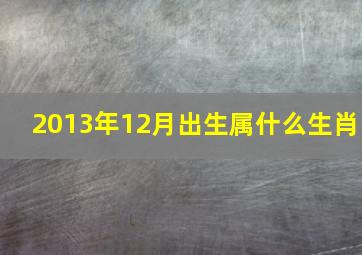 2013年12月出生属什么生肖