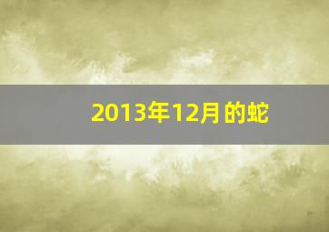 2013年12月的蛇