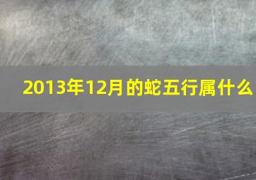 2013年12月的蛇五行属什么