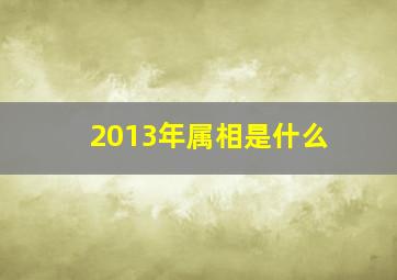 2013年属相是什么