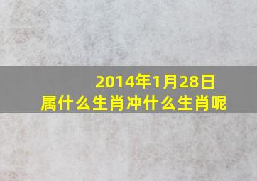 2014年1月28日属什么生肖冲什么生肖呢