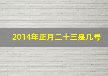 2014年正月二十三是几号