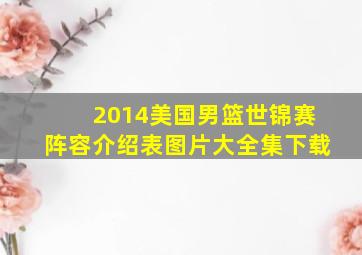 2014美国男篮世锦赛阵容介绍表图片大全集下载