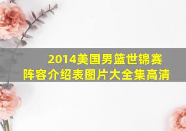 2014美国男篮世锦赛阵容介绍表图片大全集高清