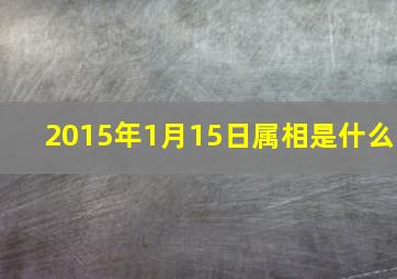 2015年1月15日属相是什么