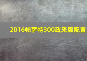 2016帕萨特300政采版配置