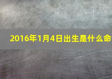 2016年1月4日出生是什么命