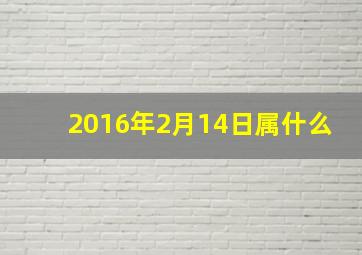 2016年2月14日属什么