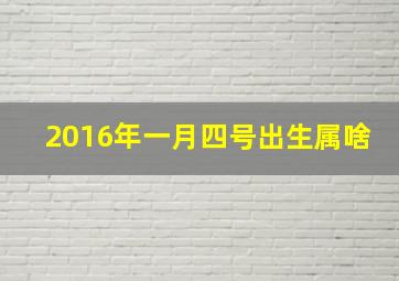 2016年一月四号出生属啥