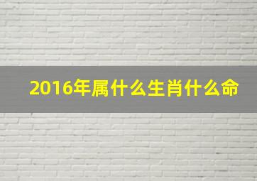 2016年属什么生肖什么命