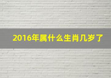 2016年属什么生肖几岁了