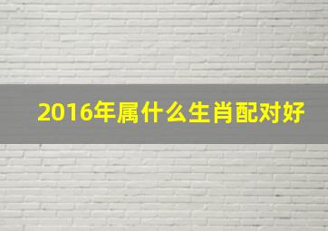 2016年属什么生肖配对好