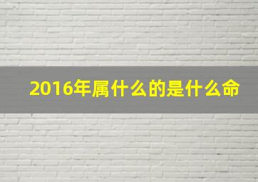 2016年属什么的是什么命