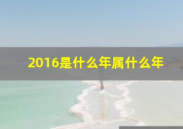 2016是什么年属什么年