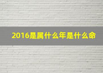 2016是属什么年是什么命