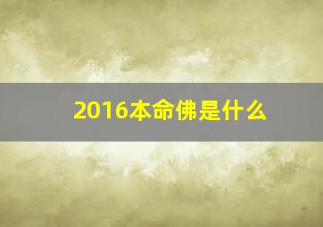 2016本命佛是什么