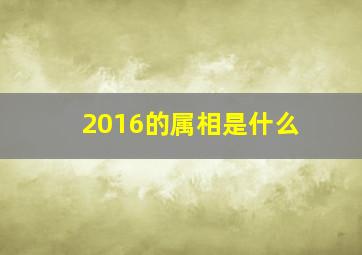 2016的属相是什么