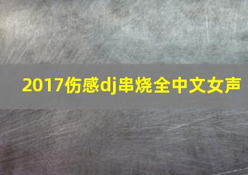 2017伤感dj串烧全中文女声