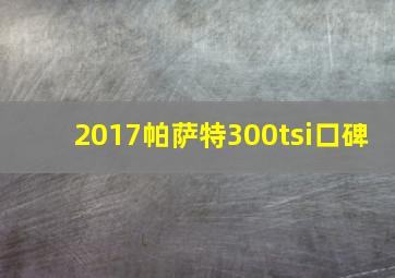 2017帕萨特300tsi口碑