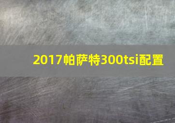 2017帕萨特300tsi配置