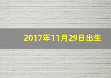 2017年11月29日出生