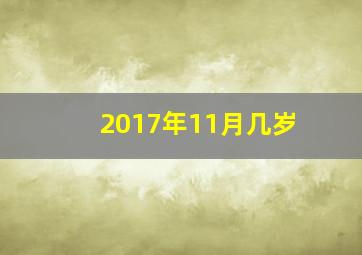 2017年11月几岁