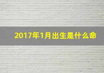 2017年1月出生是什么命