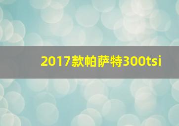 2017款帕萨特300tsi