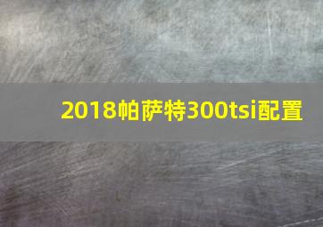 2018帕萨特300tsi配置